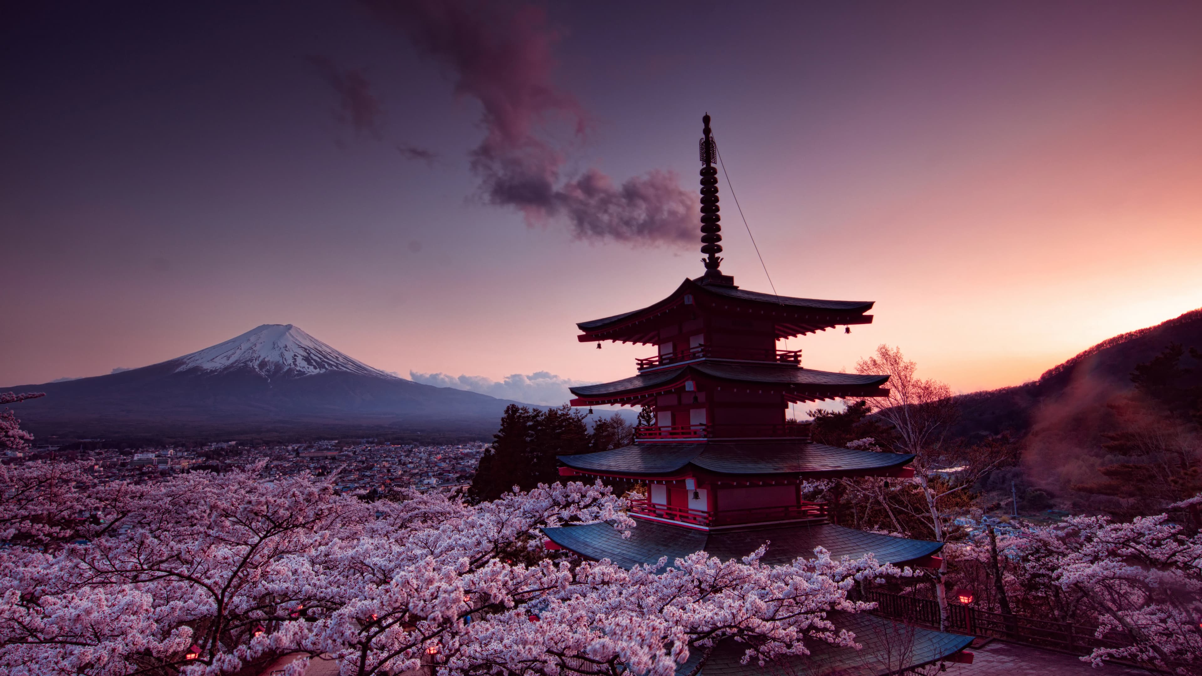 Aakafuji Education Consultancy