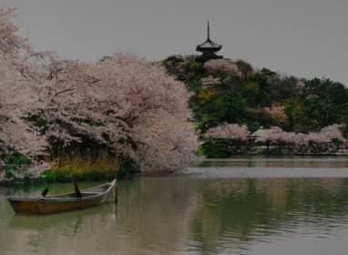 Yokohama, Japan